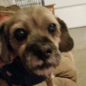 Meet your Posher, Connie